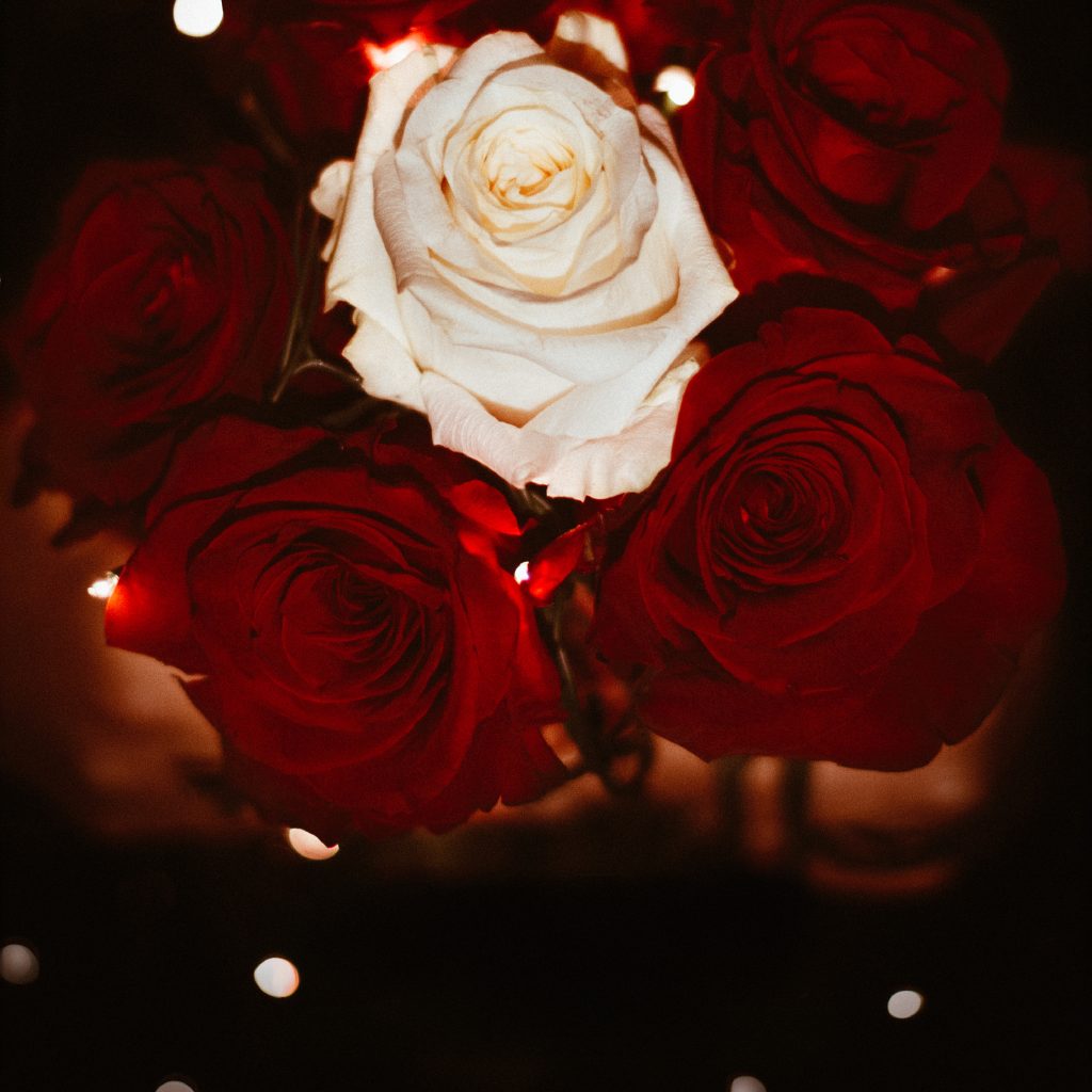 yourosespromo-18 (2)
